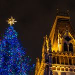 45-Year-Old Pine Chosen as the Nation’s Christmas Tree