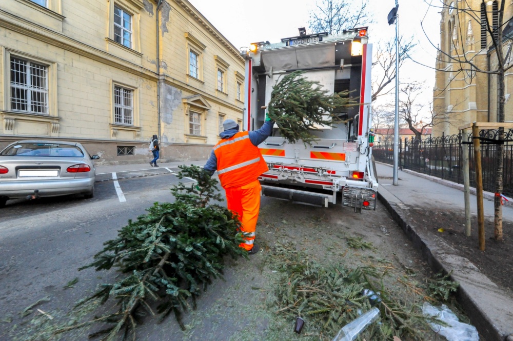Discarded Christmas Trees Collected and Recycled in Budapest post's picture