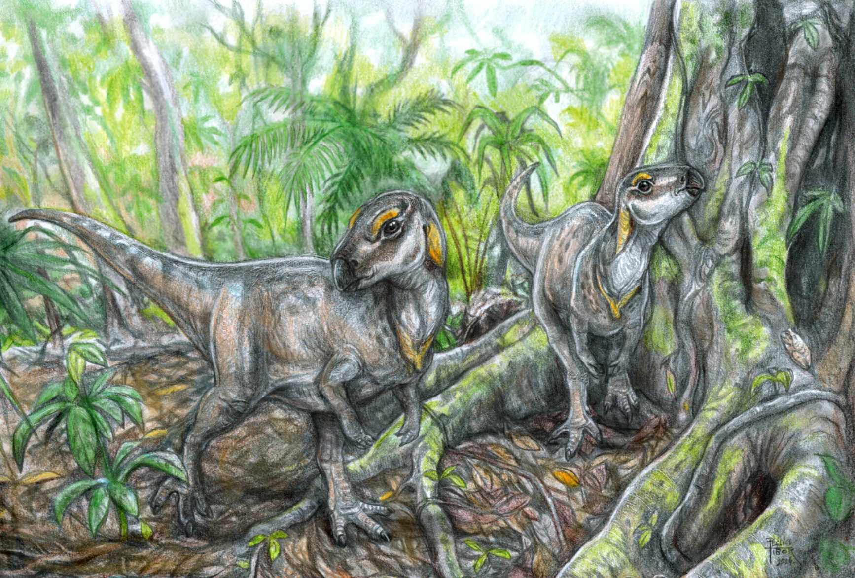New Herbivorous Dinosaur Skeletons Excavated by ELTE Researchers