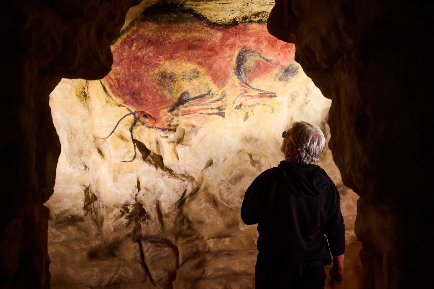 Altamira Cave Paintings Unveiled in Budapest's National Museum