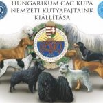 Hungarian Dog Breeds: Meet our Nine Hungaricums