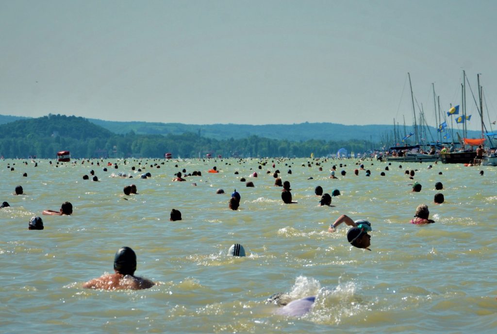 Participants from 40 Countries to Join This Year’s Balaton Cross Swimming post's picture
