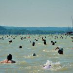 Participants from 40 Countries to Join This Year’s Balaton Cross Swimming