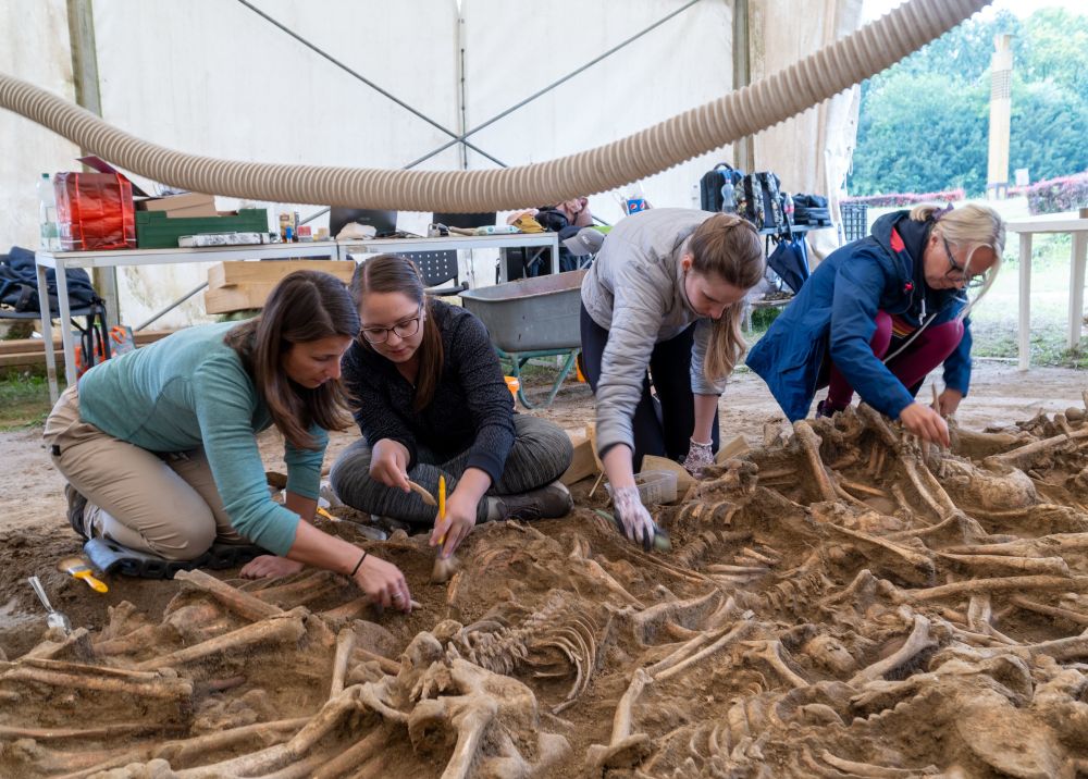 Mass Grave Unearthed Near 16th Century Battlefield post's picture