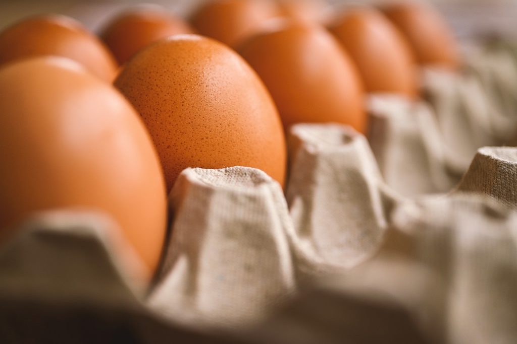 Cheap Imported Eggs Stir Controversy and Threaten Domestic Farmers post's picture