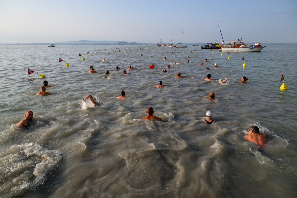 Over 11,000 People Attend This Year’s Balaton Cross Swimming post's picture