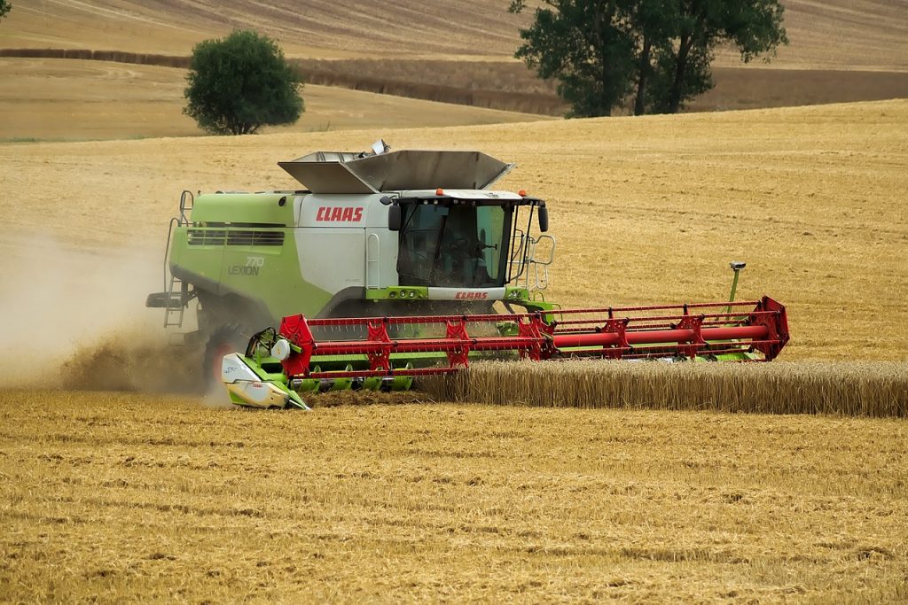 Successful Summer Harvest Secures Crops Supply and Export Surplus post's picture