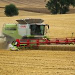 Successful Summer Harvest Secures Crops Supply and Export Surplus