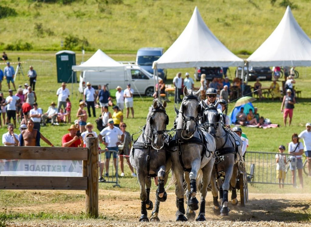 Hungarian Equestrian Culture to take Center Stage at the Four-in-hand World Championship post's picture