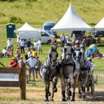 Hungarian Equestrian Culture to take Center Stage at the Four-in-hand World Championship