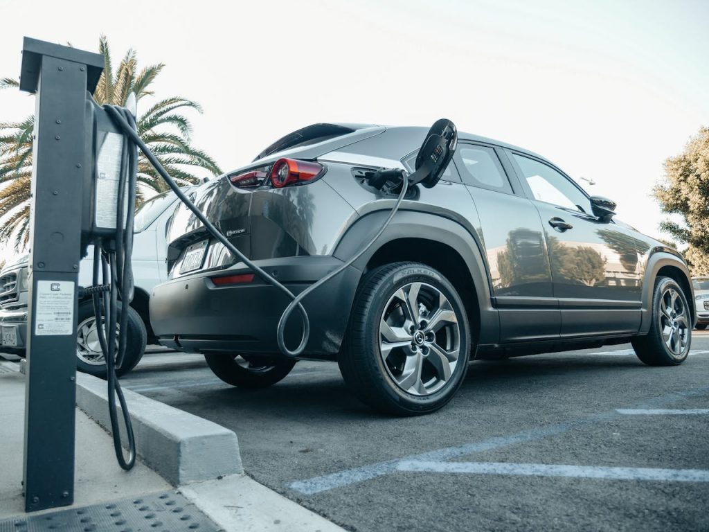 Half the Budget now Allocated under the Popular E-car Support Program post's picture