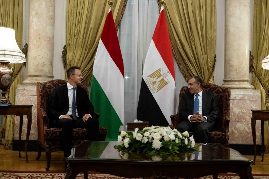 Foreign Minister Highlights Egypt’s Role in Combating Illegal Migration post's picture