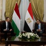 Foreign Minister Highlights Egypt’s Role in Combating Illegal Migration