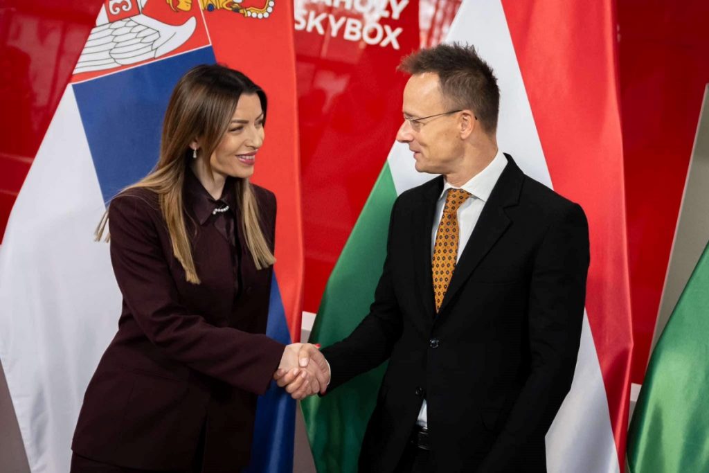 Foreign Minister: Hungary and Serbia Boost Economic and Energy Ties post's picture