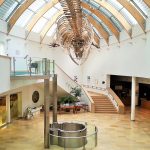 Europe’s Most Modern Natural History Exhibition Space to be Built in Debrecen