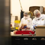 Record Demand for Food Industry Grants: HUF 708 Billion in Applications