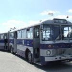 130 Ikarus Buses Await Lovers of Vehicle Rarities in Budapest