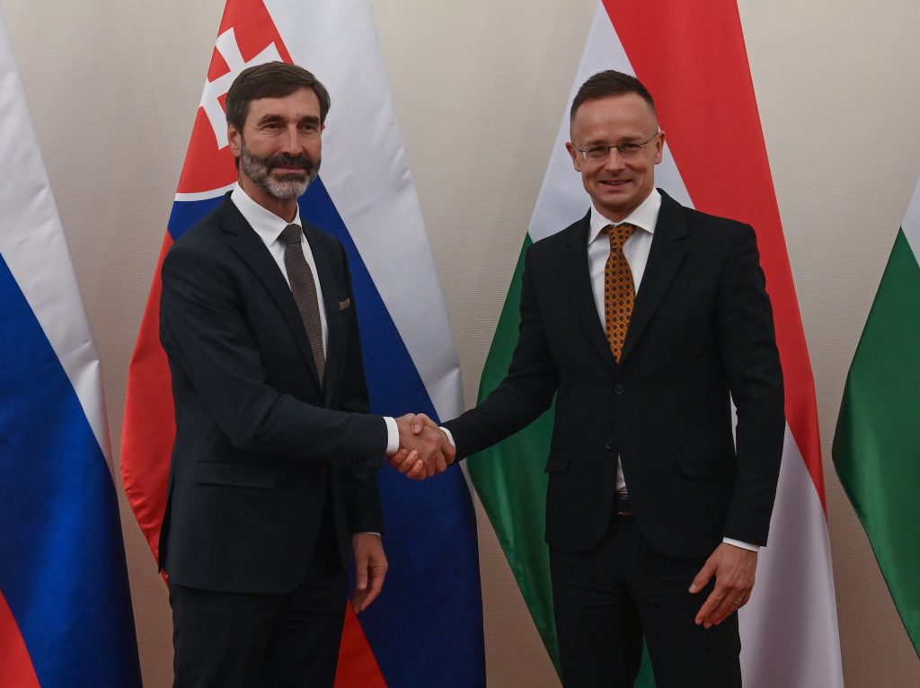 Foreign Ministers Discuss Hungarian-Slovak Dialogue on Language Law post's picture