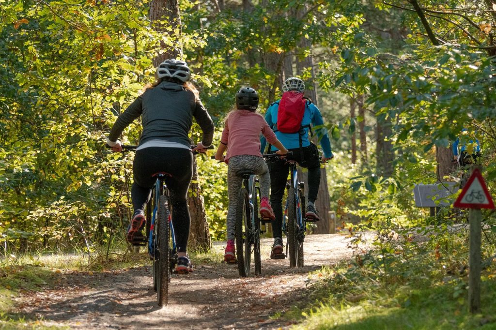 Cross-border Cycle Route Development to Start around Lake Neusiedl post's picture