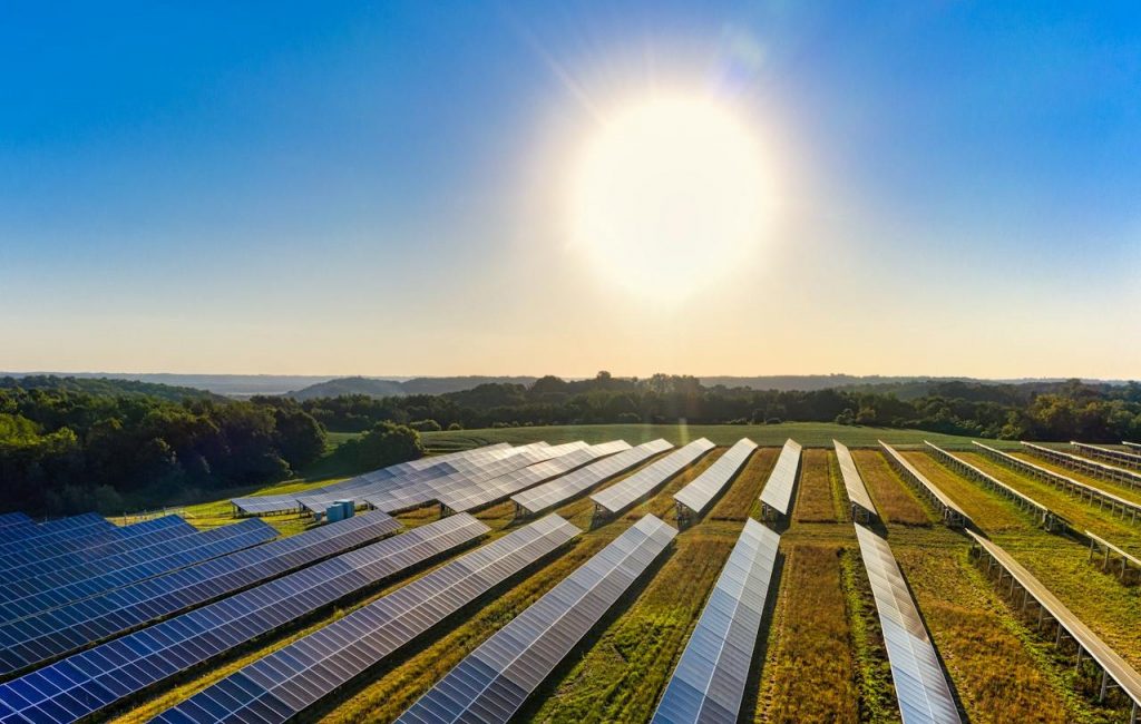 Nestlé Hungária Expands Sustainability Efforts with New Solar Park post's picture