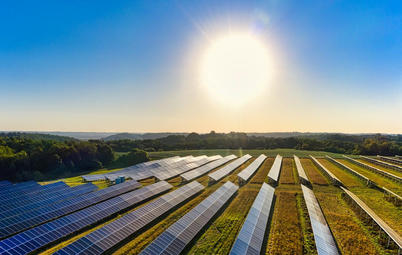 Leading Agricultural Company Builds Multi-million Euro Solar Power Plant