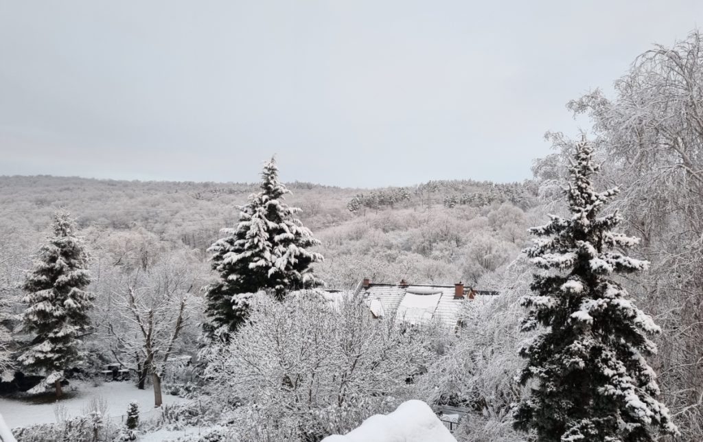 Preparing for a White Christmas with Snowfall and Frosty Winds post's picture