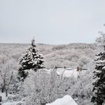 Preparing for a White Christmas with Snowfall and Frosty Winds