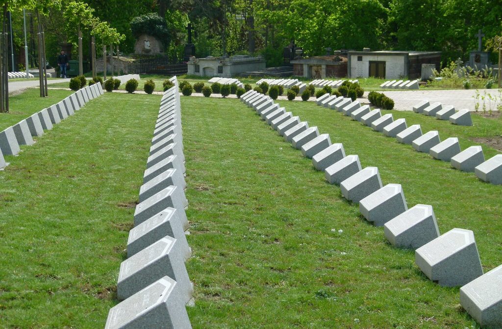 Remains of over 1,200 World War Soldiers Exhumed this Year