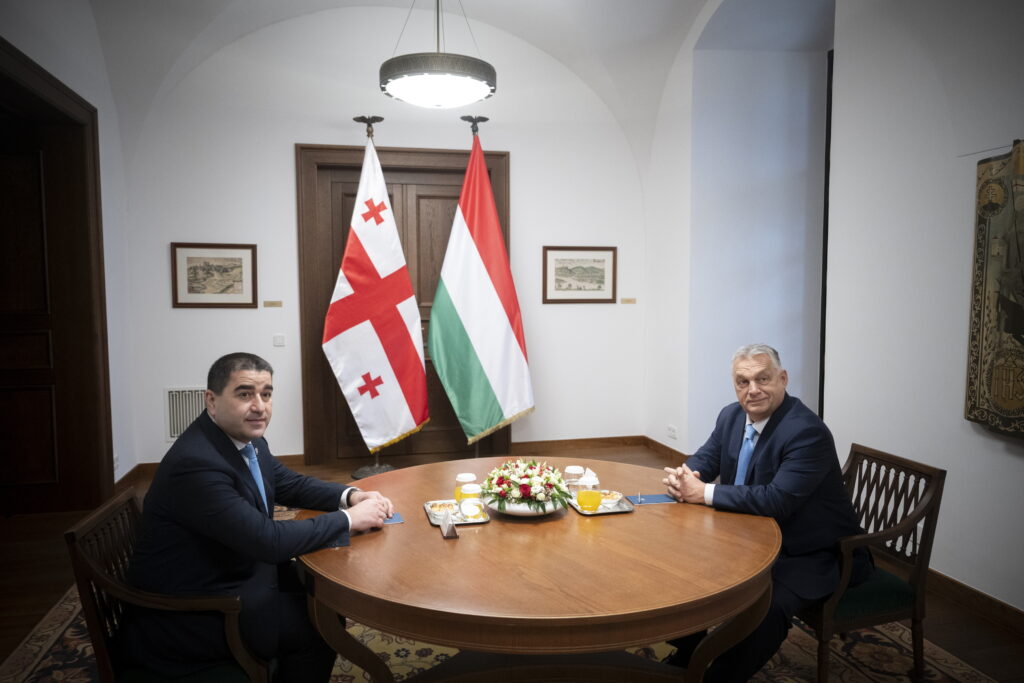 Georgian Parliament Speaker Discusses National Sovereignty in Budapest post's picture