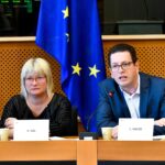 Two Hungarians to Head the EP Working Group on National Minorities