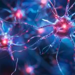 Researchers Discover a Secret of the Neuronal Communication Code