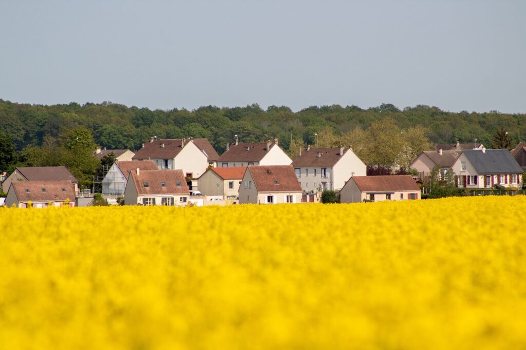 Romanian Buyers Flood Hungarian Property Market near the Border post's picture