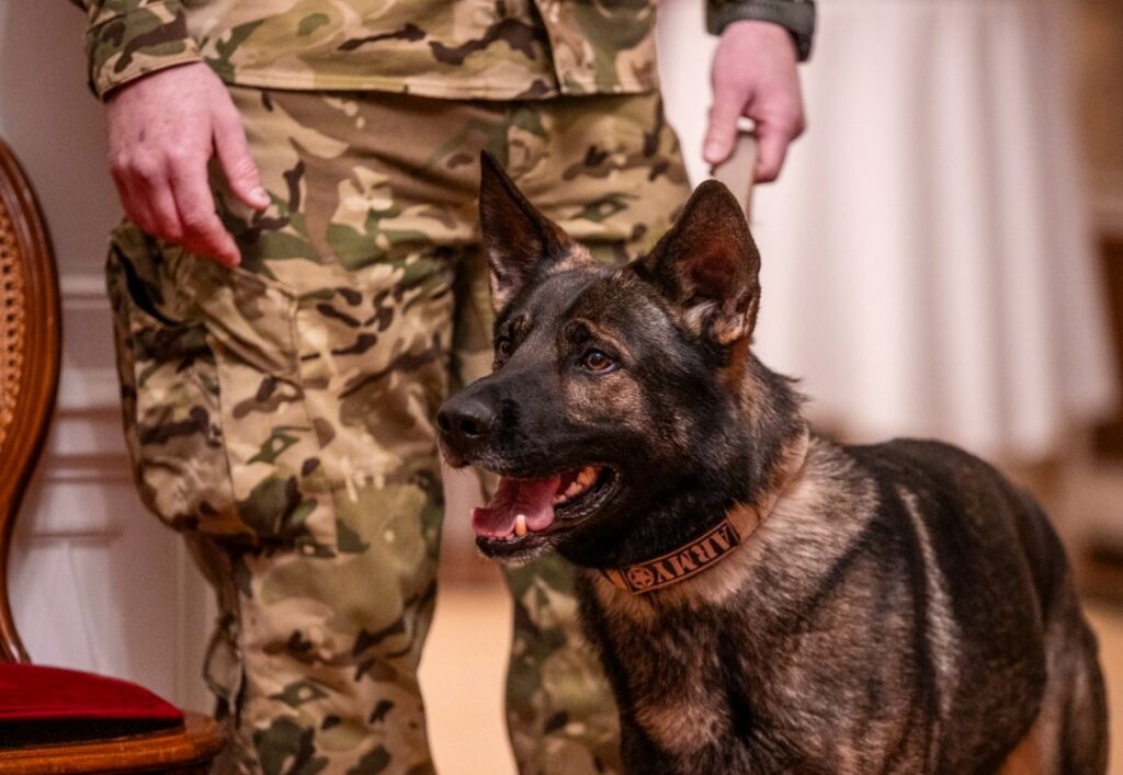 Hungarian Soldiers Honored for Defending Paris Olympics post's picture