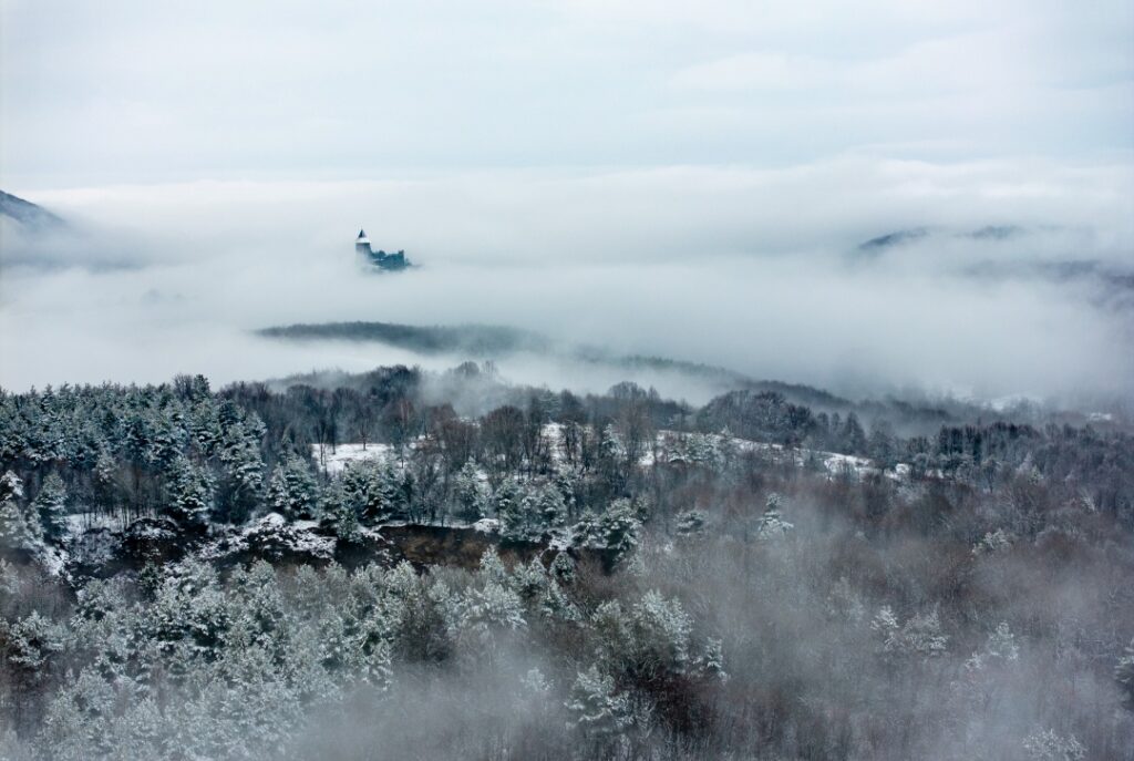 Surprise Winter Wonderland in Northern Hungary post's picture