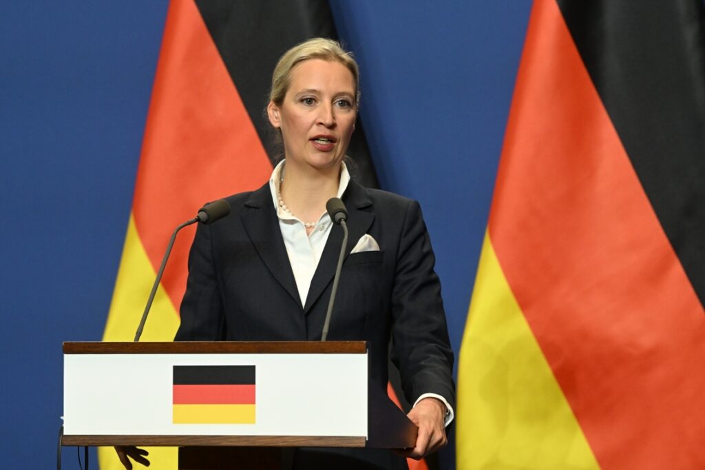 Alice Weidel Schools Hungarian Activist Journalist after Provocative Question post's picture