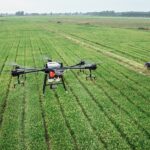 HUN-REN Researchers Explore the Potential of AI in Agriculture