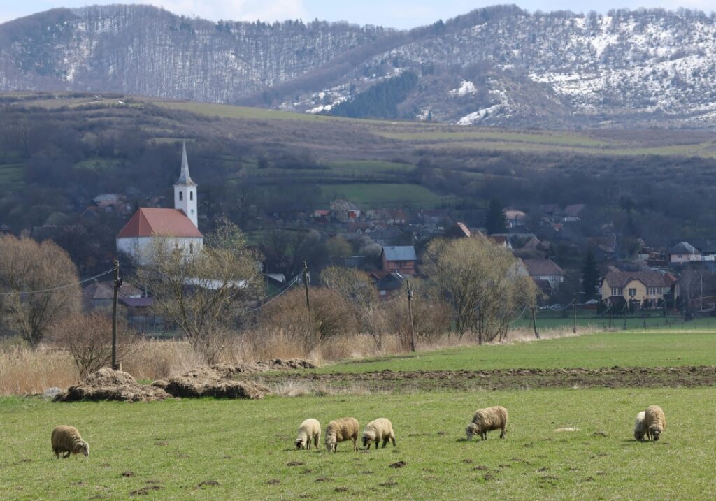 Region in Szeklerland Receives Gastronomy Award post's picture