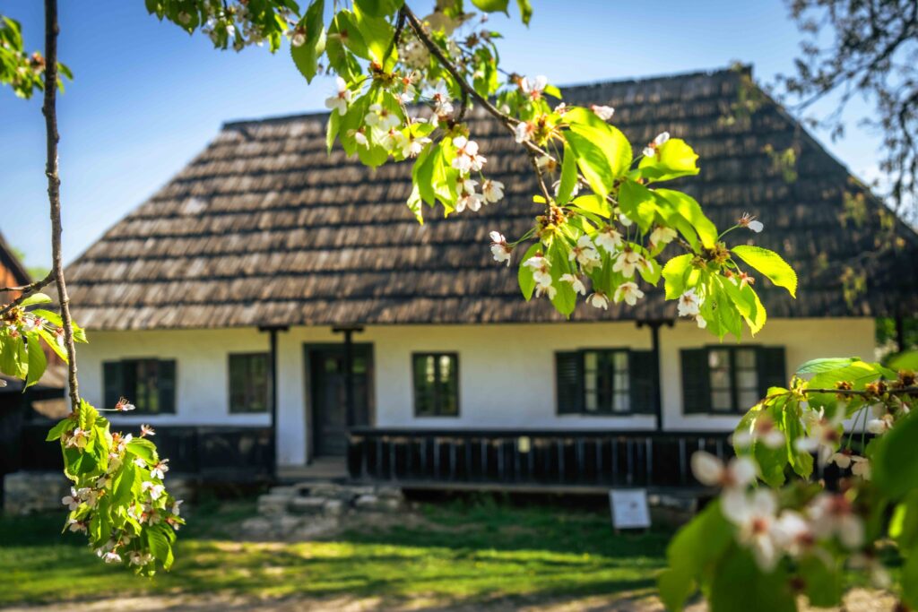 Ethnographic Museum of Transylvania Expands with Leisure Section post's picture