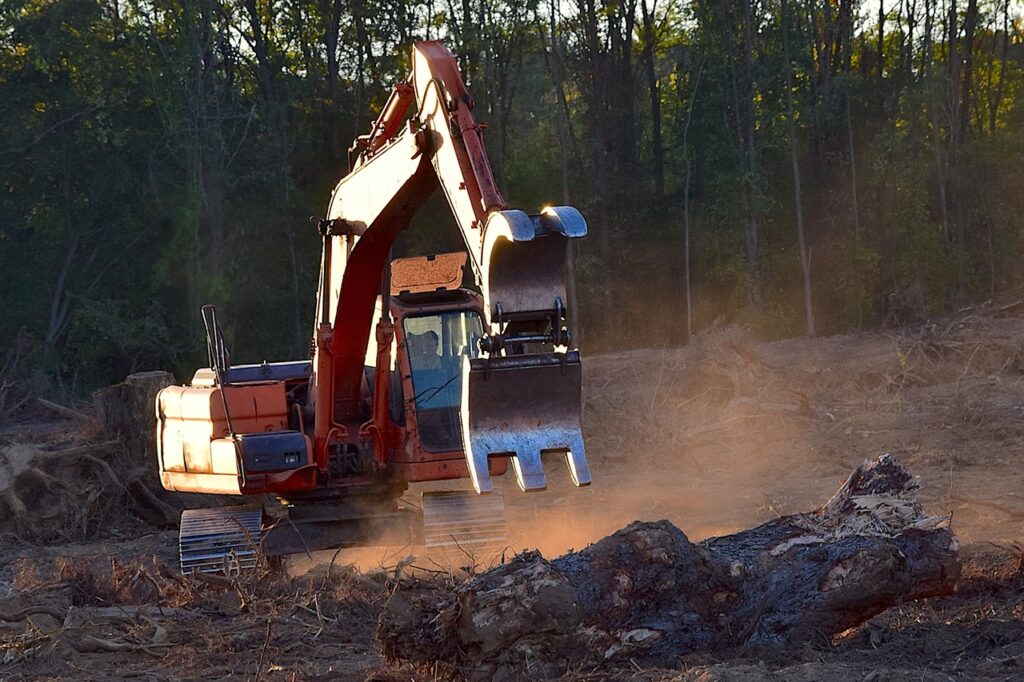 Native Forests Destroyed in Transcarpathia to Give Way to Wind Turbines post's picture