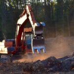 Native Forests Destroyed in Transcarpathia to Give Way to Wind Turbines