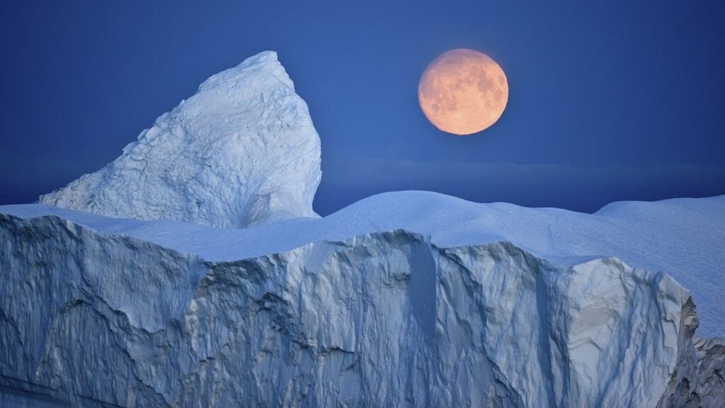 Another Hungarian Student to Reach the North Pole in International Expedition post's picture
