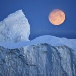 Another Hungarian Student to Reach the North Pole in International Expedition