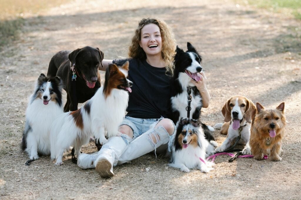 New Study Shows Our Dogs Are More than Just Pets post's picture