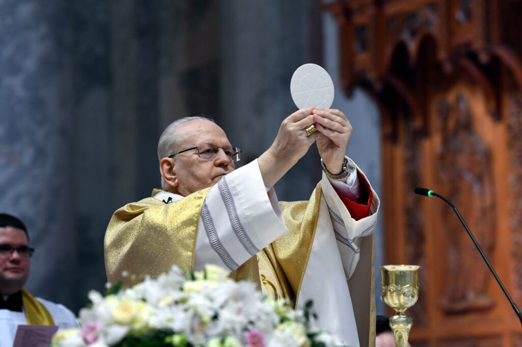 Hungarian Cardinal May Have Influenced the Election of Pope Leo XIV post's picture