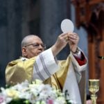 Hungarian Cardinal May Have Influenced the Election of Pope Leo XIV