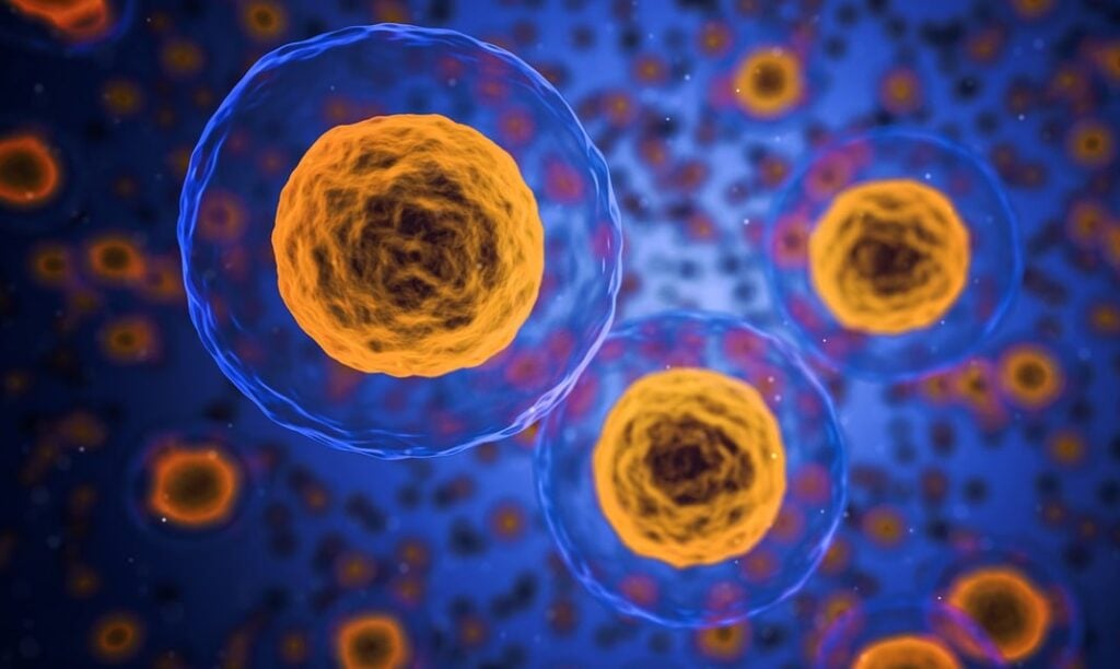 Hungarian Researchers Discover How Cancer Cells Survive Chemotherapy post's picture