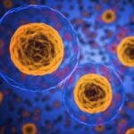 Hungarian Researchers Discover How Cancer Cells Survive Chemotherapy