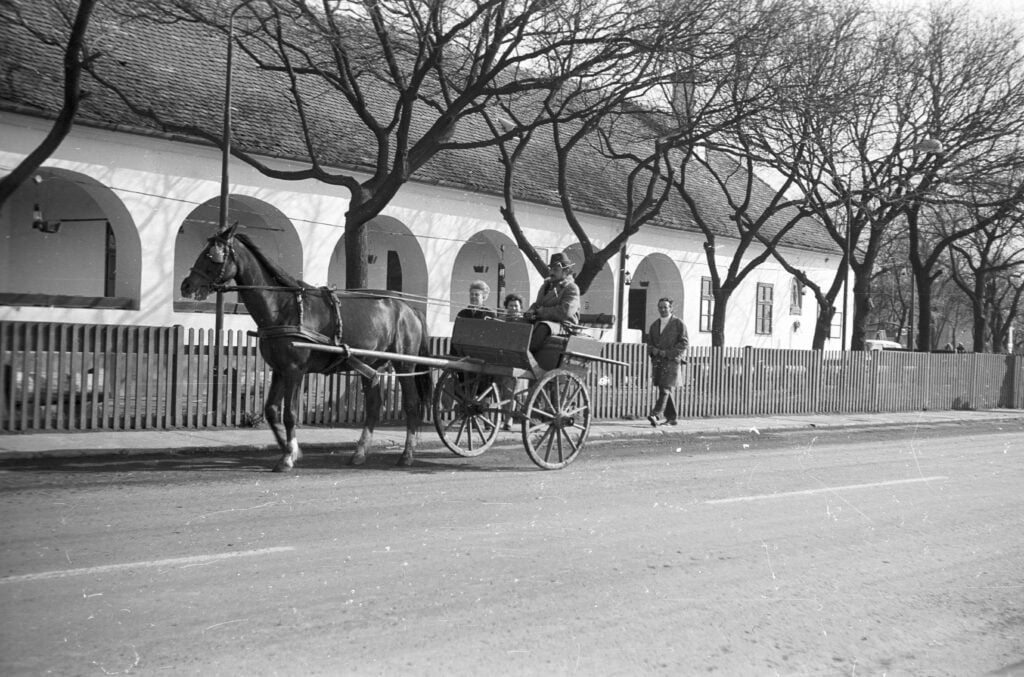 Traditional Hungarian Inn and Rare Grape Variety Declared Hungarikums post's picture