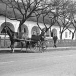 Traditional Hungarian Inn and Rare Grape Variety Declared Hungarikums