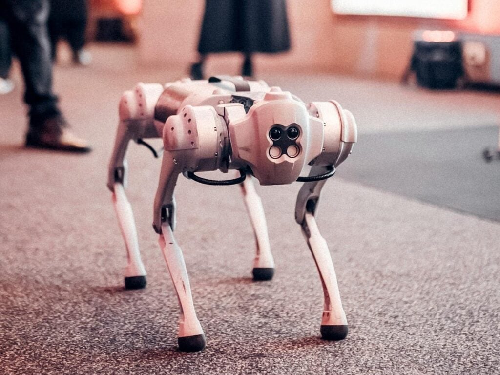 Robot Dog to Serve as Playful Responsibility-Ambassador in Budapest post's picture